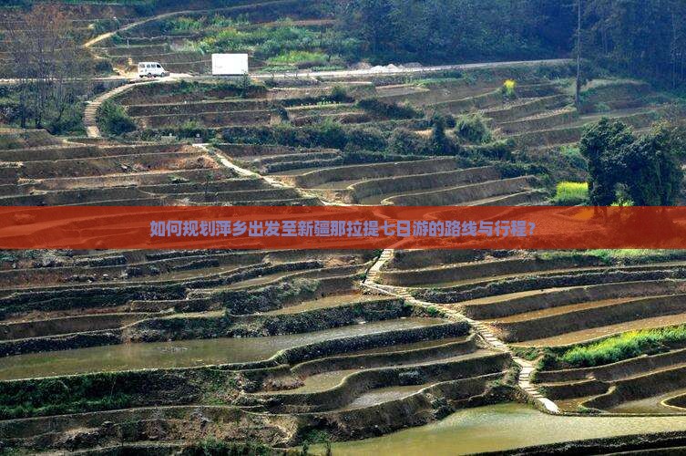 如何规划萍乡出发至新疆那拉提七日游的路线与行程？