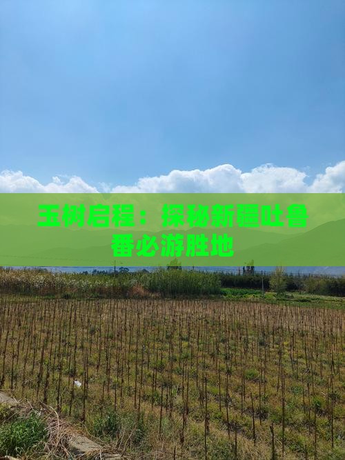 玉树启程：探秘新疆吐鲁番必游胜地