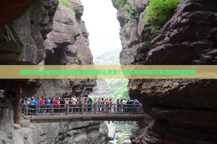 为何日照游客纷纷选择团体游新疆天山天池？痛点与热词新词背后的旅游趋势！
