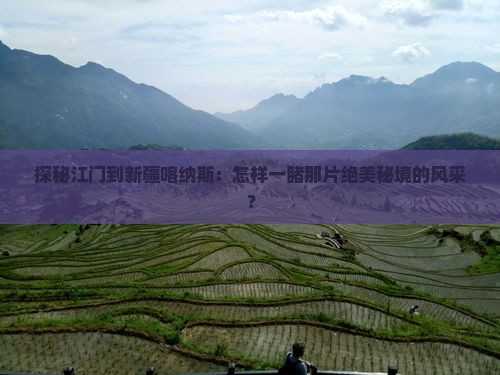 探秘江门到新疆喀纳斯：怎样一睹那片绝美秘境的风采？
