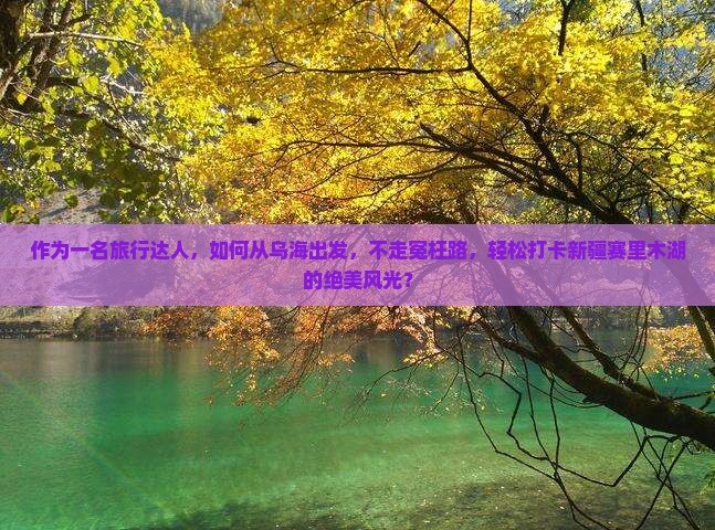作为一名旅行达人，如何从乌海出发，不走冤枉路，轻松打卡新疆赛里木湖的绝美风光？