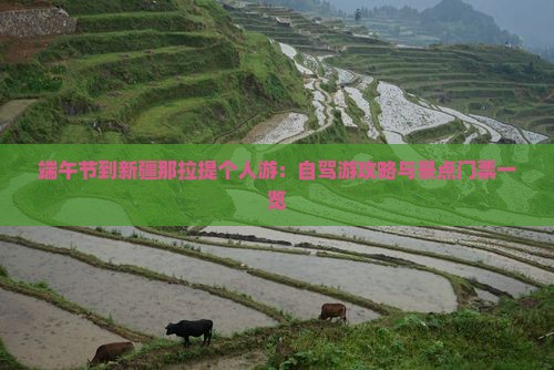 端午节到新疆那拉提个人游：自驾游攻略与景点门票一览