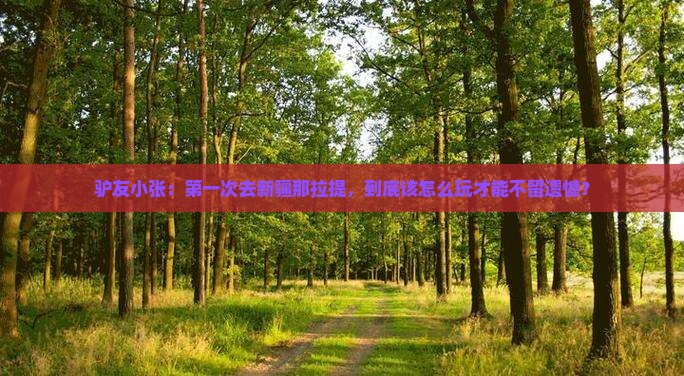 驴友小张：第一次去新疆那拉提，到底该怎么玩才能不留遗憾？