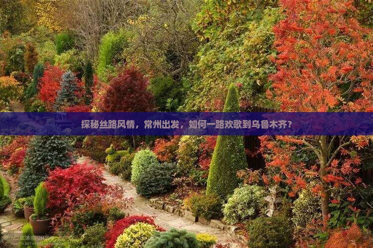 探秘丝路风情，常州出发，如何一路欢歌到乌鲁木齐？