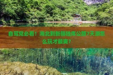 自驾党必看！海北到新疆独库公路7天游怎么玩才最爽？
