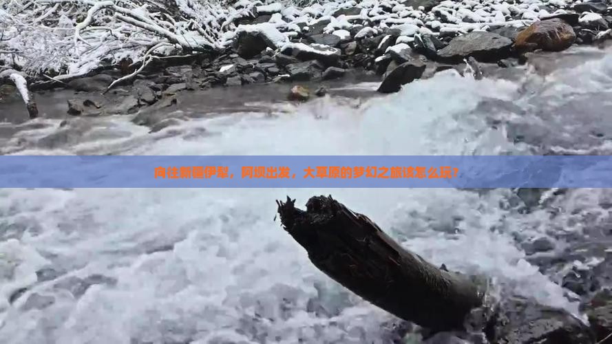 向往新疆伊犁，阿坝出发，大草原的梦幻之旅该怎么玩？