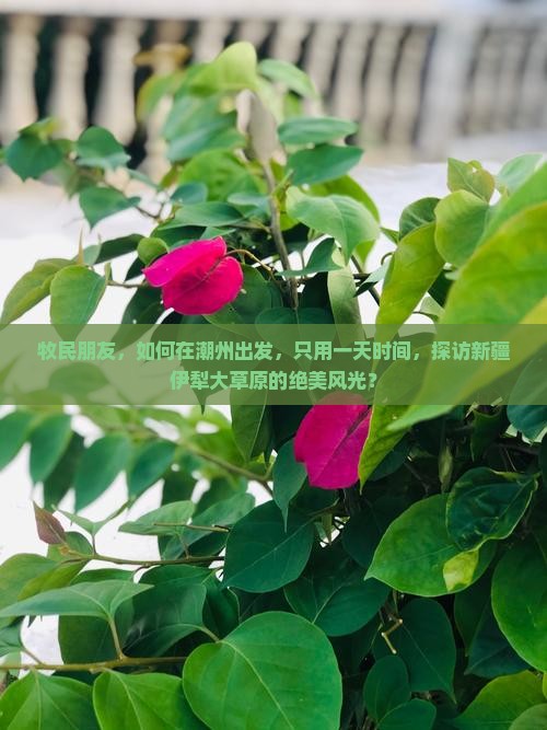 牧民朋友，如何在潮州出发，只用一天时间，探访新疆伊犁大草原的绝美风光？