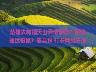 楚雄去新疆天山天池旅游？路途遥远怕累？搭高铁+打卡网红天池安排上！