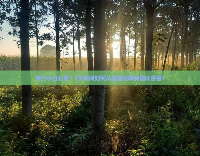 旅行小白必看！3天时间如何从宜昌玩转新疆吐鲁番？