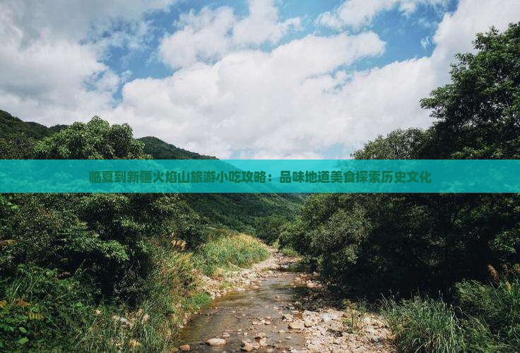 临夏到新疆火焰山旅游小吃攻略：品味地道美食探索历史文化