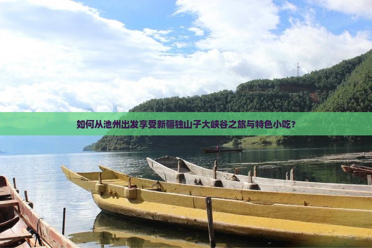 如何从池州出发享受新疆独山子大峡谷之旅与特色小吃？