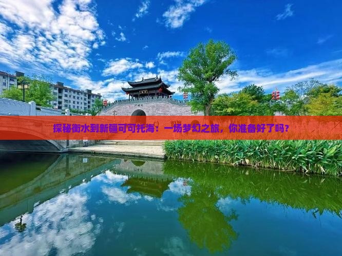 探秘衡水到新疆可可托海：一场梦幻之旅，你准备好了吗？