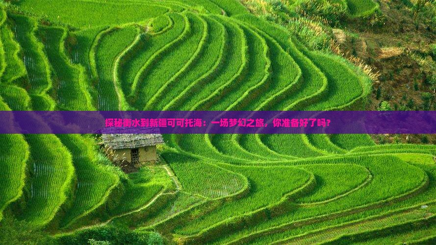 探秘衡水到新疆可可托海：一场梦幻之旅，你准备好了吗？