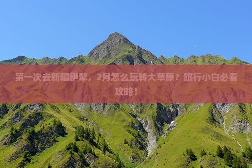 第一次去新疆伊犁，2月怎么玩转大草原？旅行小白必看攻略！