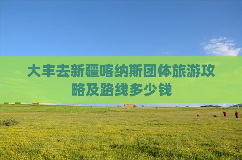 大丰去新疆喀纳斯团体旅游攻略及路线多少钱