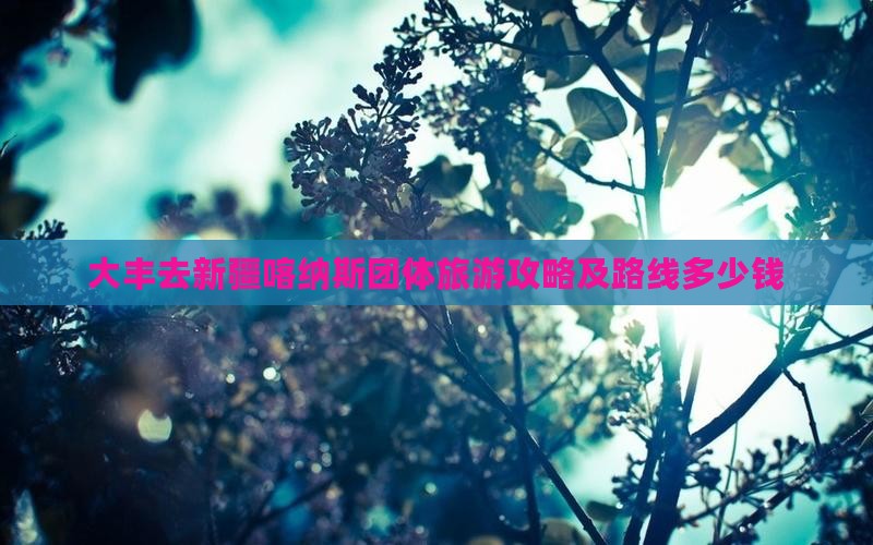 大丰去新疆喀纳斯团体旅游攻略及路线多少钱