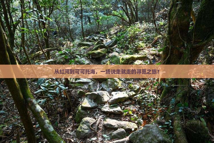 从红河到可可托海，一场说走就走的寻觅之旅？