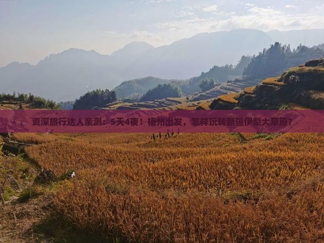 资深旅行达人亲测：5天4夜！梧州出发，怎样玩转新疆伊犁大草原？