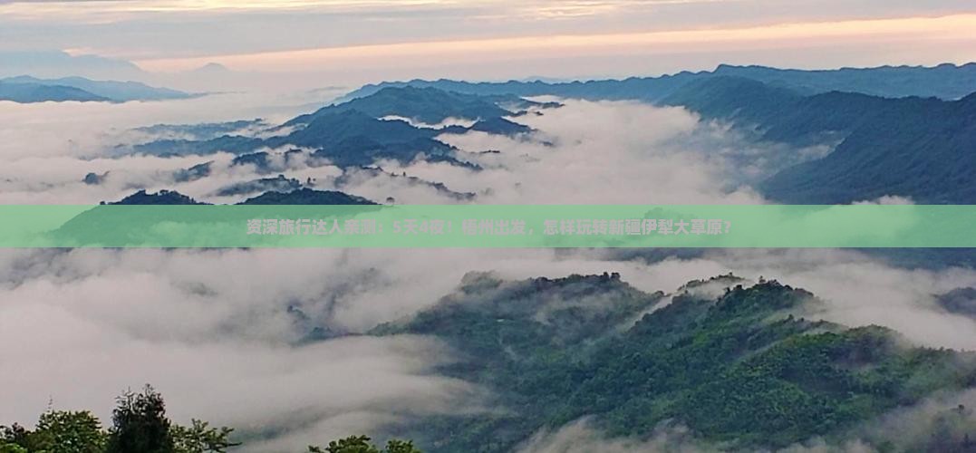 资深旅行达人亲测：5天4夜！梧州出发，怎样玩转新疆伊犁大草原？
