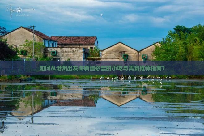 如何从沧州出发游新疆必尝的小吃与美食推荐指南？