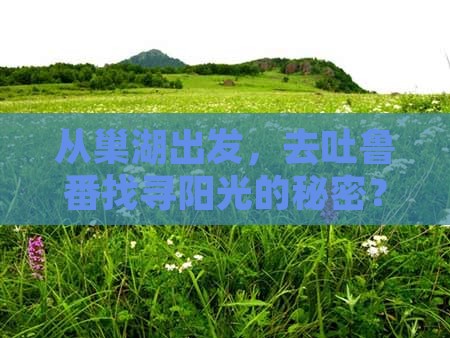 从巢湖出发，去吐鲁番找寻阳光的秘密？