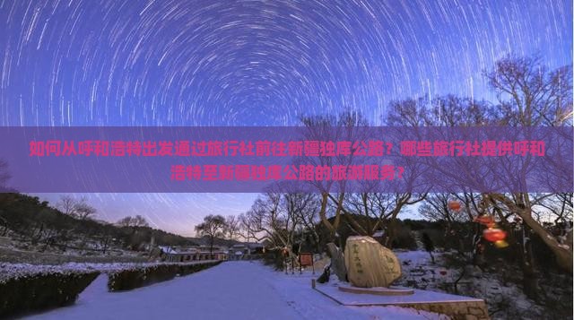 如何从呼和浩特出发通过旅行社前往新疆独库公路？哪些旅行社提供呼和浩特至新疆独库公路的旅游服务？