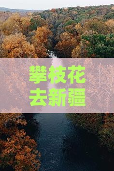 攀枝花去新疆赛里木湖四日游多少钱路线