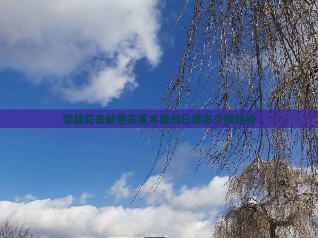 攀枝花去新疆赛里木湖四日游多少钱路线