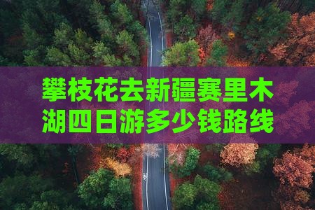 攀枝花去新疆赛里木湖四日游多少钱路线