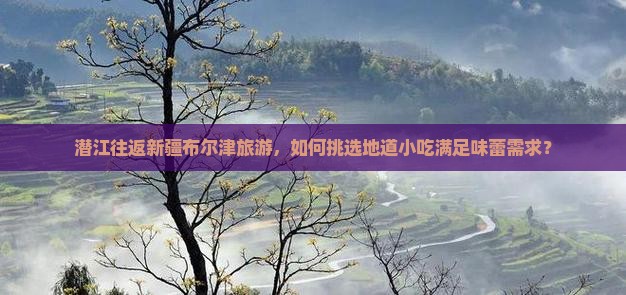 潜江往返新疆布尔津旅游，如何挑选地道小吃满足味蕾需求？