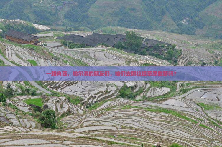 一路向西，哈尔滨的朋友们，咱们去那拉提草原撒野吗？