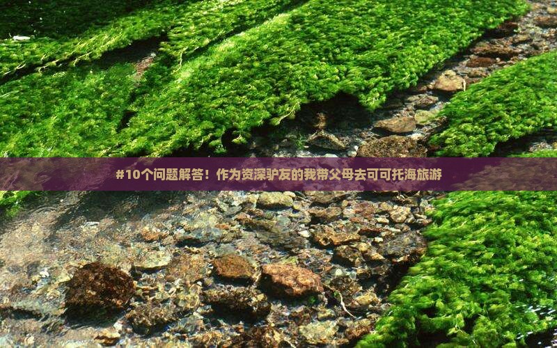 #10个问题解答！作为资深驴友的我带父母去可可托海旅游