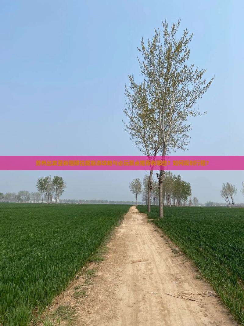 苏州出发至新疆那拉提旅游攻略与必玩景点推荐有哪些？如何规划行程？