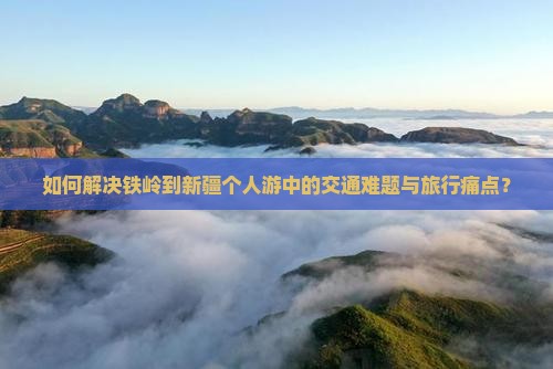 如何解决铁岭到新疆个人游中的交通难题与旅行痛点？
