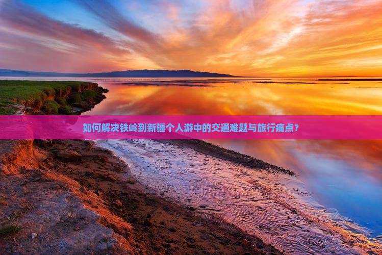 如何解决铁岭到新疆个人游中的交通难题与旅行痛点？