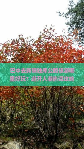 巴中去新疆独库公路旅游哪里好玩？避开人潮热词攻略
