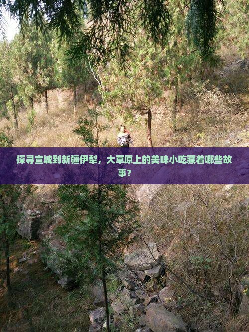 探寻宣城到新疆伊犁，大草原上的美味小吃藏着哪些故事？