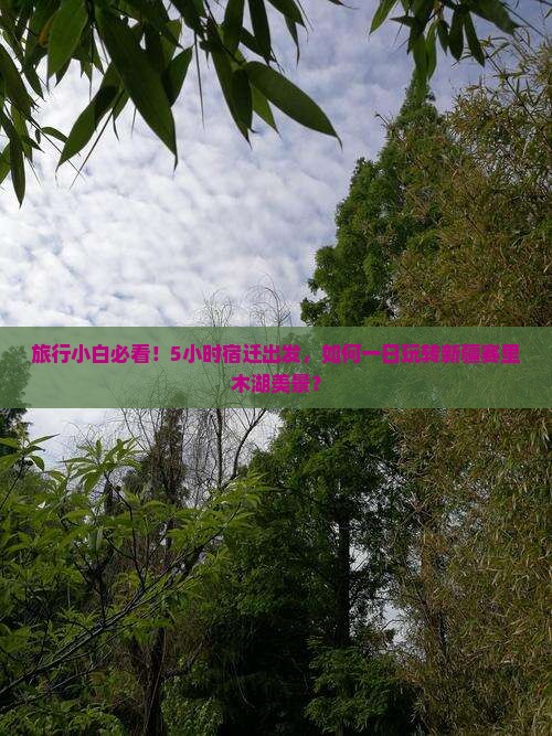 旅行小白必看！5小时宿迁出发，如何一日玩转新疆赛里木湖美景？