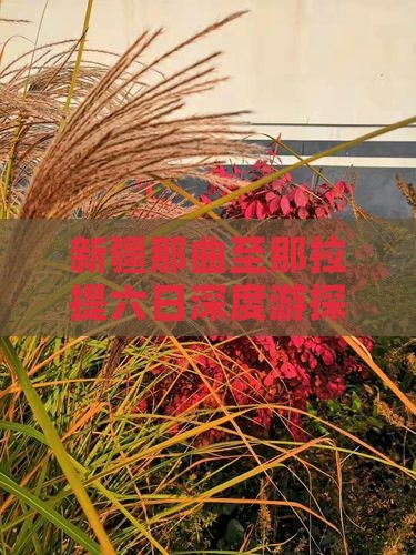 新疆那曲至那拉提六日深度游探险