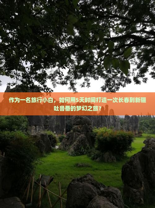 作为一名旅行小白，如何用5天时间打造一次长春到新疆吐鲁番的梦幻之旅？