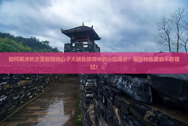 如何解决长沙至新疆独山子大峡谷旅游中的小吃痛点？哪些特色美食不容错过？