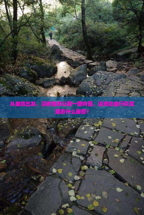 从曲靖出发，沿着独库公路一路向西，这场自由行究竟藏着什么秘密？