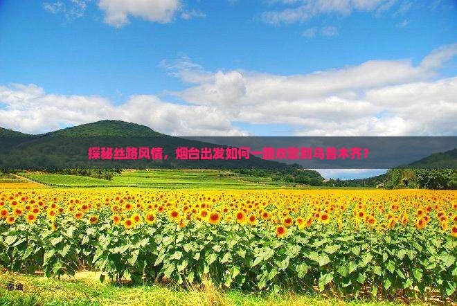 探秘丝路风情,烟台出发如何一路欢歌到乌鲁木齐? 探秘丝路风情,烟台出发如何一路欢歌到乌鲁木齐?