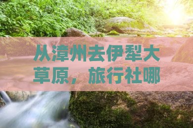 从漳州去伊犁大草原，旅行社哪家好？