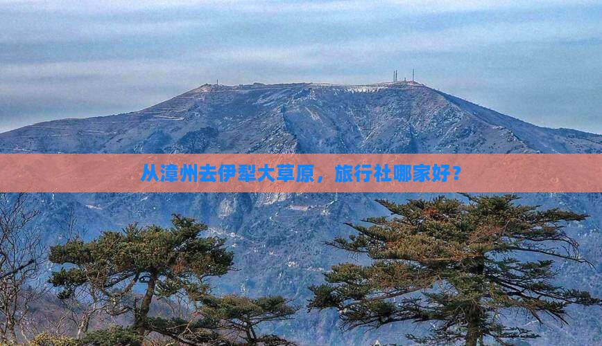 从漳州去伊犁大草原，旅行社哪家好？