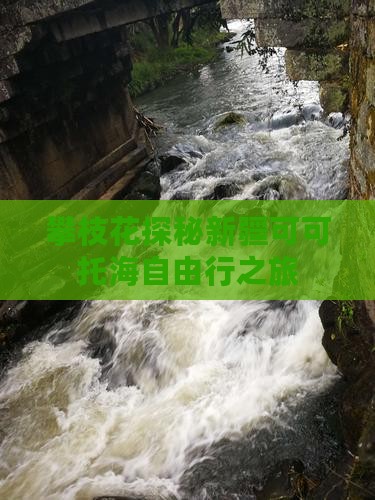 攀枝花探秘新疆可可托海自由行之旅