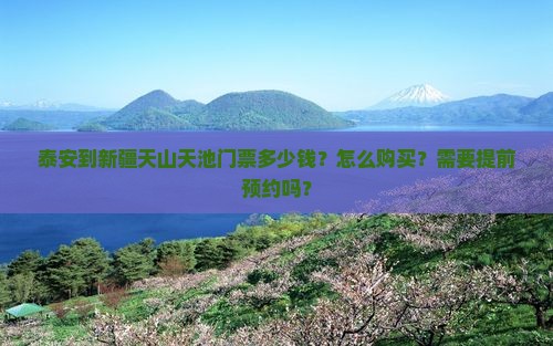 泰安到新疆天山天池门票多少钱？怎么购买？需要提前预约吗？