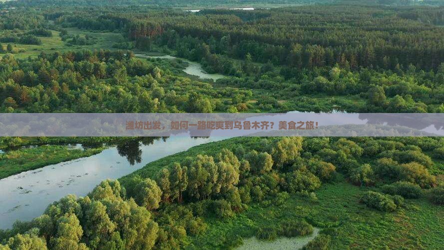 潍坊出发，如何一路吃爽到乌鲁木齐？美食之旅！