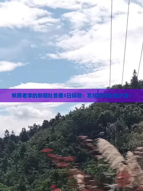 牧民老李的新疆吐鲁番3日探险：怎样骑马穿越沙漠？