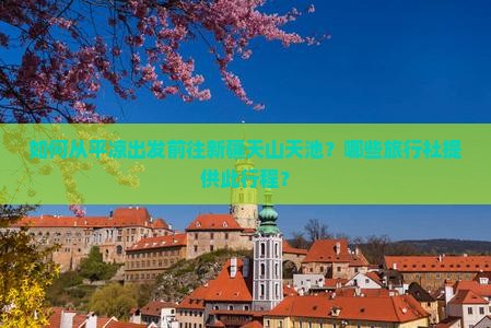 如何从平凉出发前往新疆天山天池？哪些旅行社提供此行程？